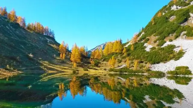 Куда мне пойти осенью в Мичигане?