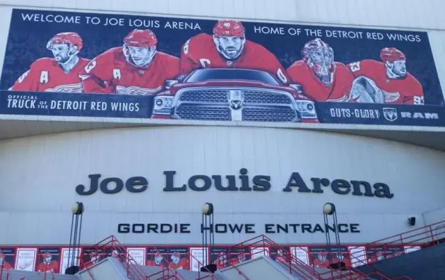 Был ли у Джо Луи Арены орган?