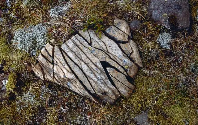 Заклинивание льда - физическое или химическое выветривание?