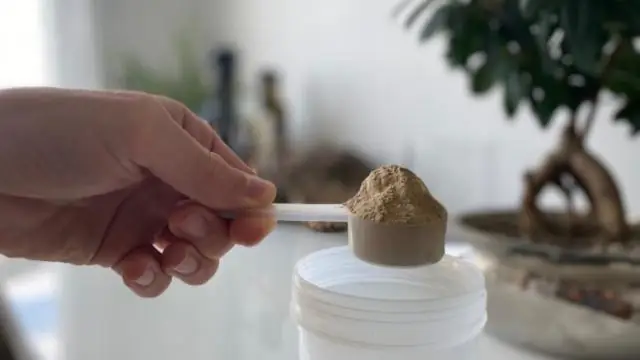 С какими вкусами входят протеиновые коктейли Premier?