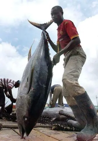 Сколько рыбы нужно есть в неделю?