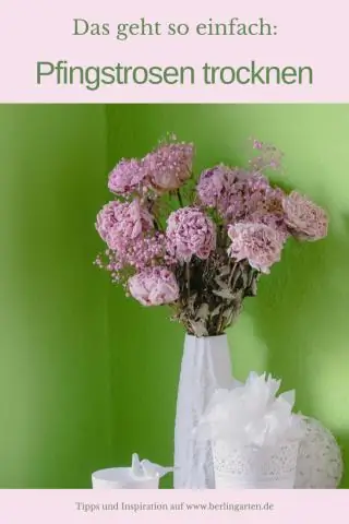 Можно ли сушить цветок лей?