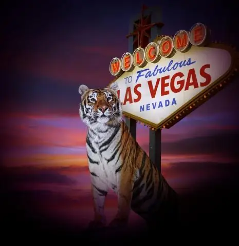 Кто выиграл последнюю гонку Nascar в Лас-Вегасе?