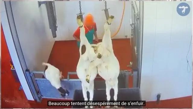 Как связать козу?