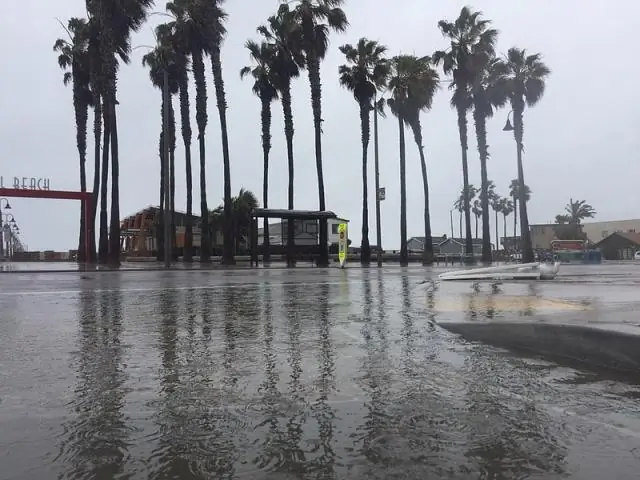 Будет ли дождь в мае в Сан-Диего?