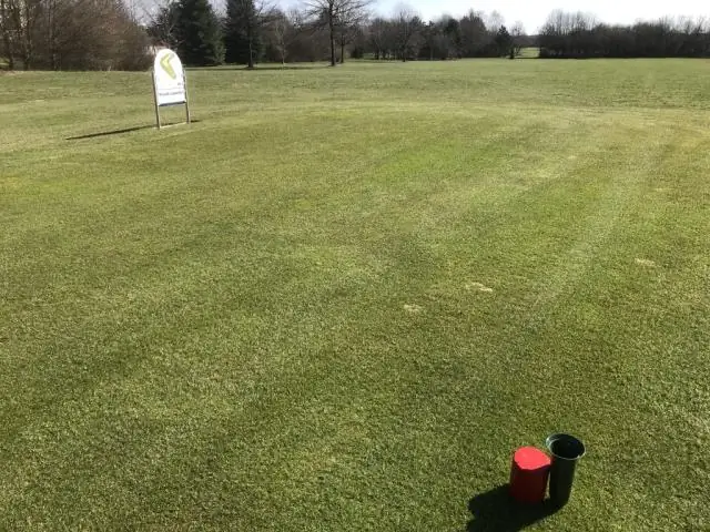 Какие турниры входят в FedEx Cup?