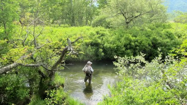 Что символизирует река в Big Two Hearted River?