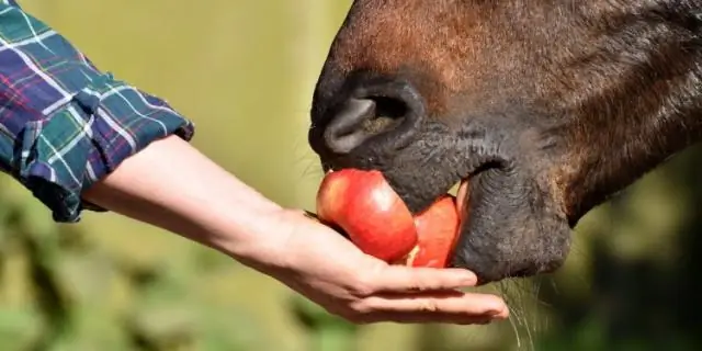 Любят ли черви конский навоз?