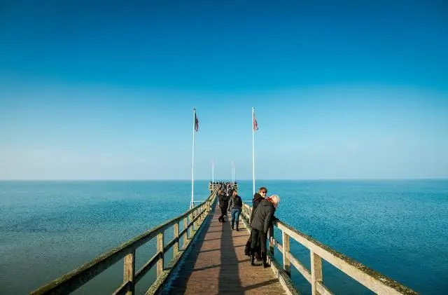 Почему был отменен «Черный динамит»?