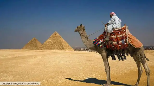 Через какое время после шока HTH Вы умеете плавать?