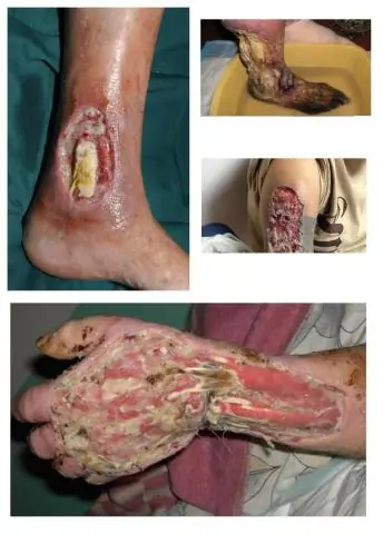 Как вы используете поисковик центра конезаводов?