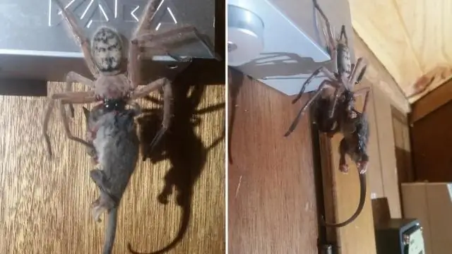 Какое расстояние до Бирсби?