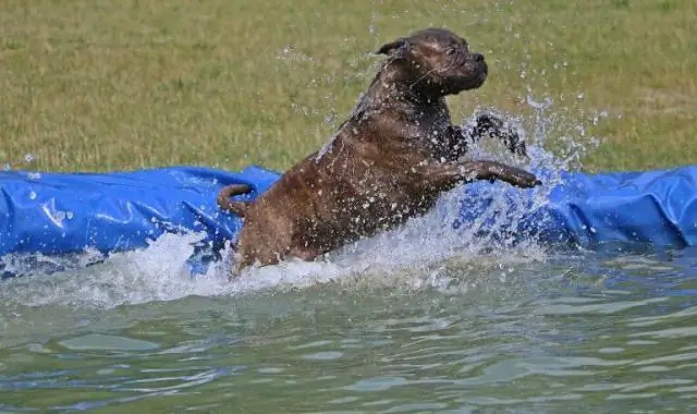 Вы умеете плавать круги в небольшом бассейне?