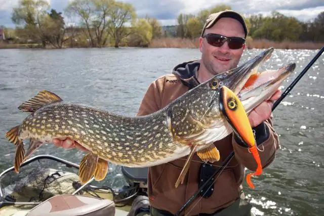 Может ли щука прокусить фторуглерод?