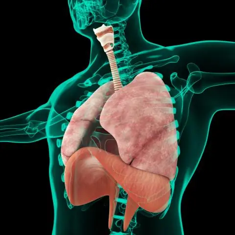 Что такое тренировка походки в физиотерапии?