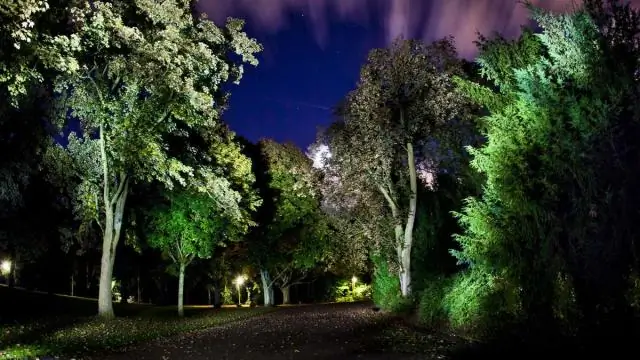 Фрэнк Гор был ранен?