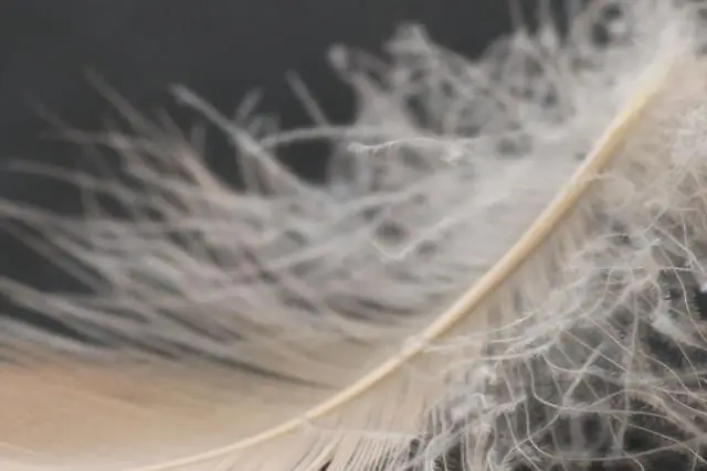 Почему Ich Dien на валлийских перьях?