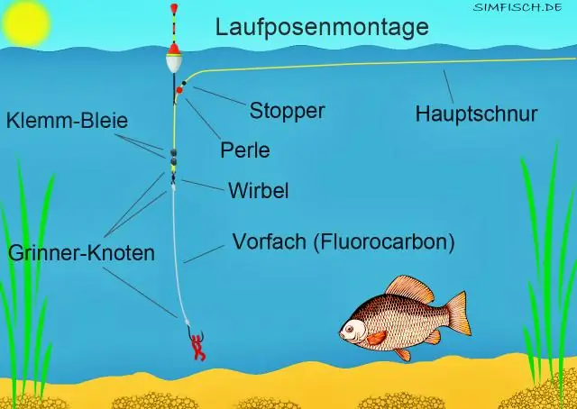 Что такое бусинка в рыбалке?
