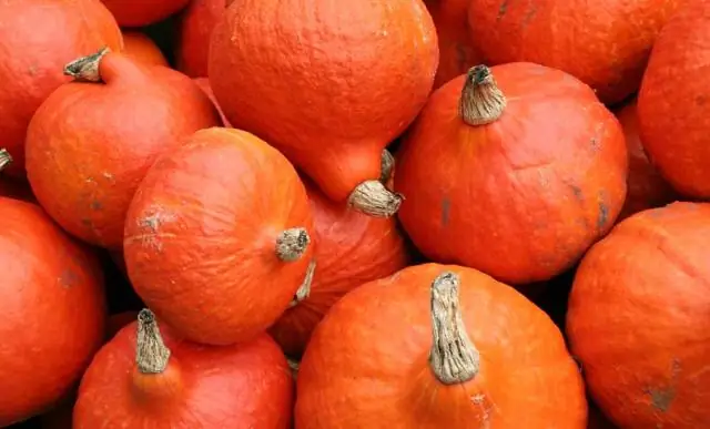 На что похож серый кабачок?