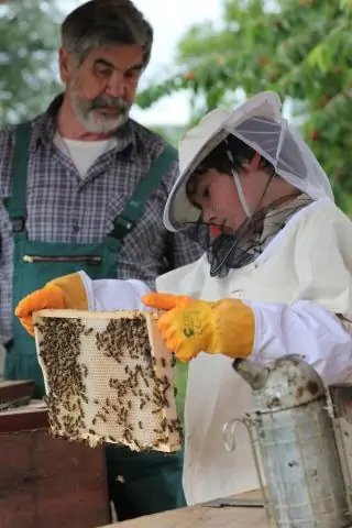 Что значит праворукость?