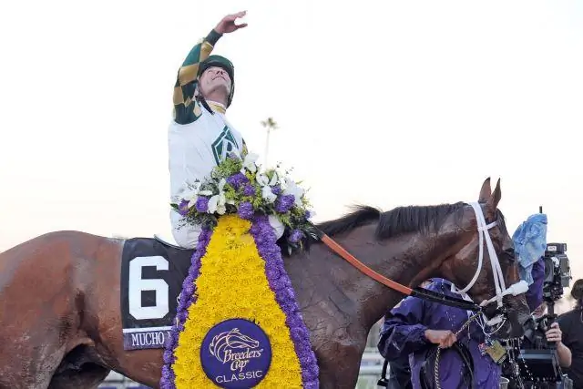 Какие лошади входят в Классический кубок заводчиков?