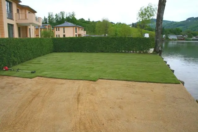 Как избавиться от червей на лужайке?