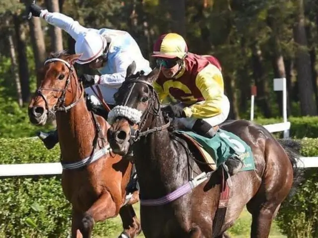 Какие основные скачки?