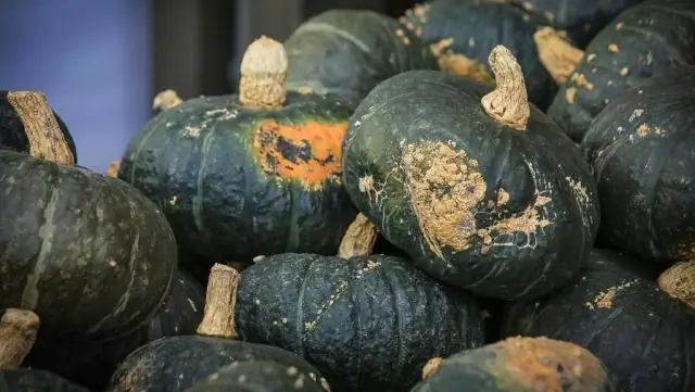 Кабоча сквош - это гибрид?