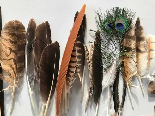 Сколько пружин на 14-футовом батуте?