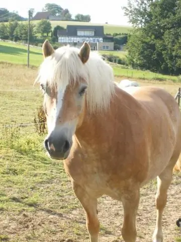 Как называется легкий ветерок?