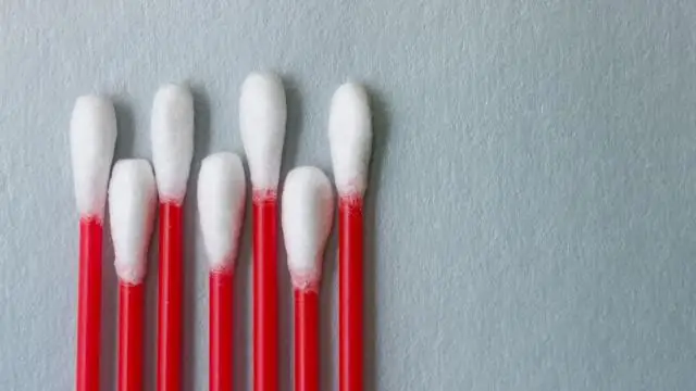 Как лучше всего чистить песочные доллары?