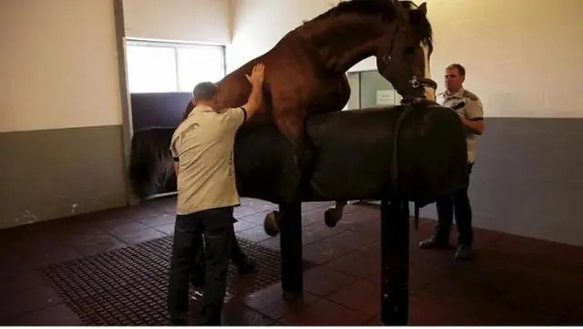 Зарабатывают ли владельцы лошадей деньги?