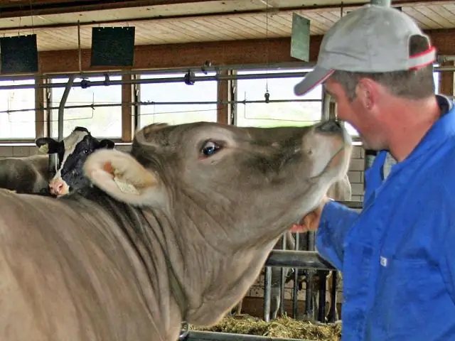 Что делать с гнилым сеном?