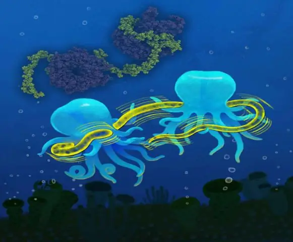 Какие каналы включены в streampix?