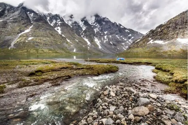 Стоит ли использовать протеиновый порошок?