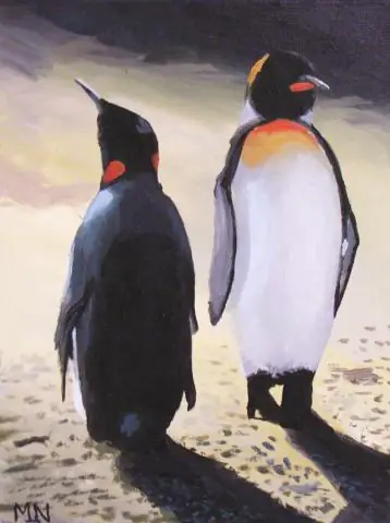 На льду нарисованы хоккейные линии?