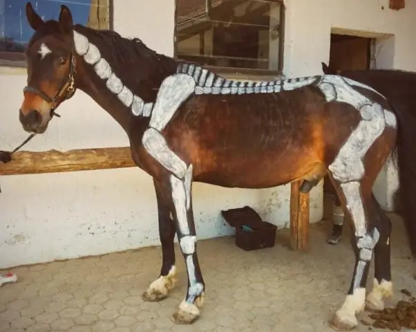 Как пишется ржущая лошадь?