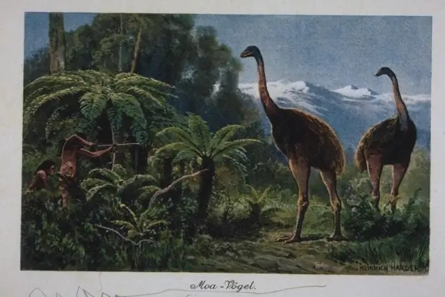 Какова была гипотеза плейстоценового избыточного убийства?