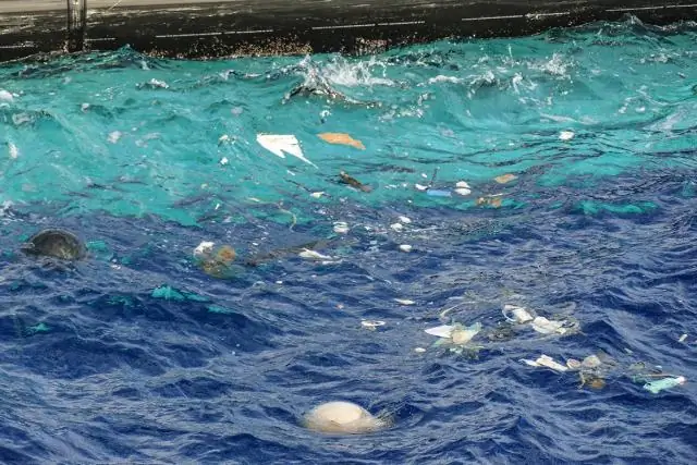 Что значит испачкаться в тигле?