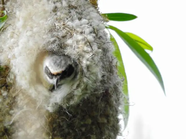 Какие условия катания на лыжах?