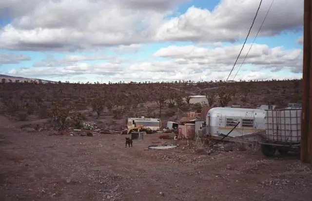 В каких штатах продаются лотерейные билеты онлайн?