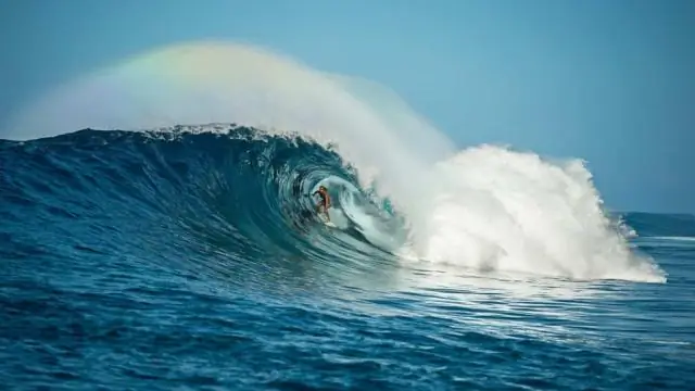 Сколько стоил волновой бассейн Келли Слейтер?