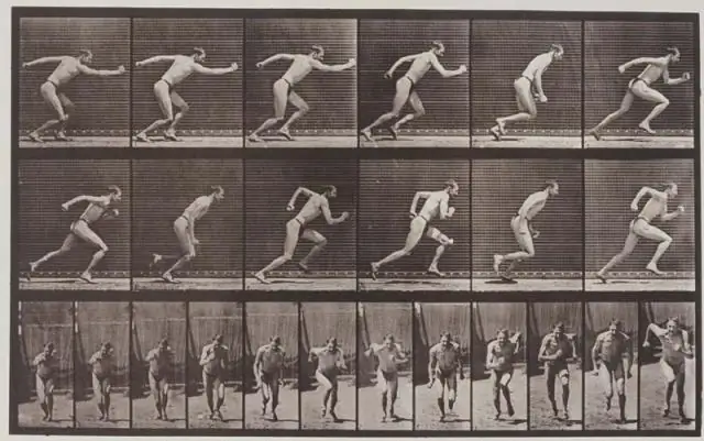 Что сделал Идверд Мейбридж Пионер?