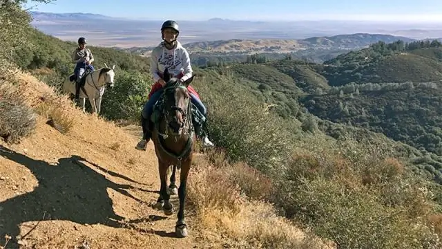 Сможете ли вы кататься на лошади по дороге в Калифорнии?