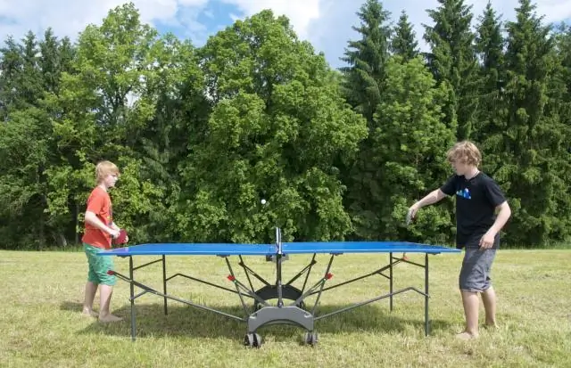 Из чего сделаны профессиональные столы для пинг-понга?