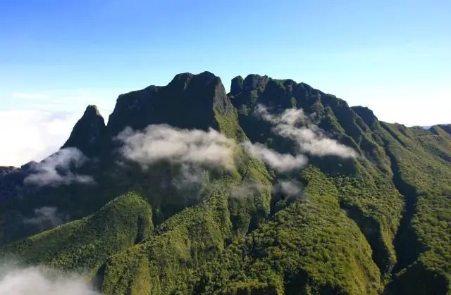 Что такое морской тропический?