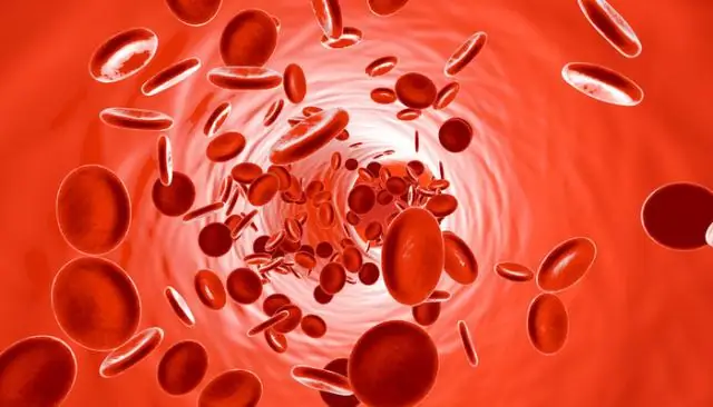 Что такое эритропоэтин ЭПО и как он секретируется?