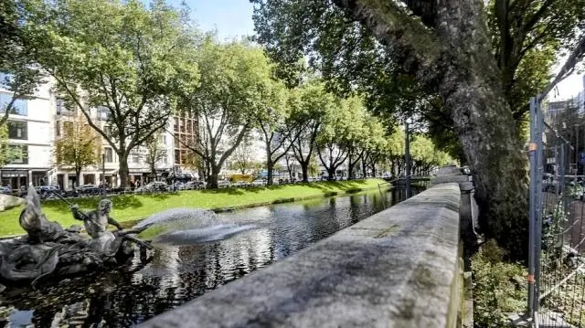 Легко ли падают платаны?