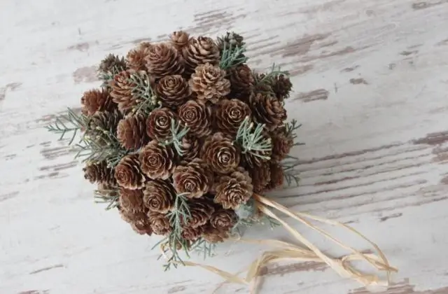 Что такое фартук водосточного желоба?