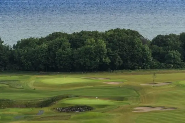 Переходит ли овсяница в спячку?